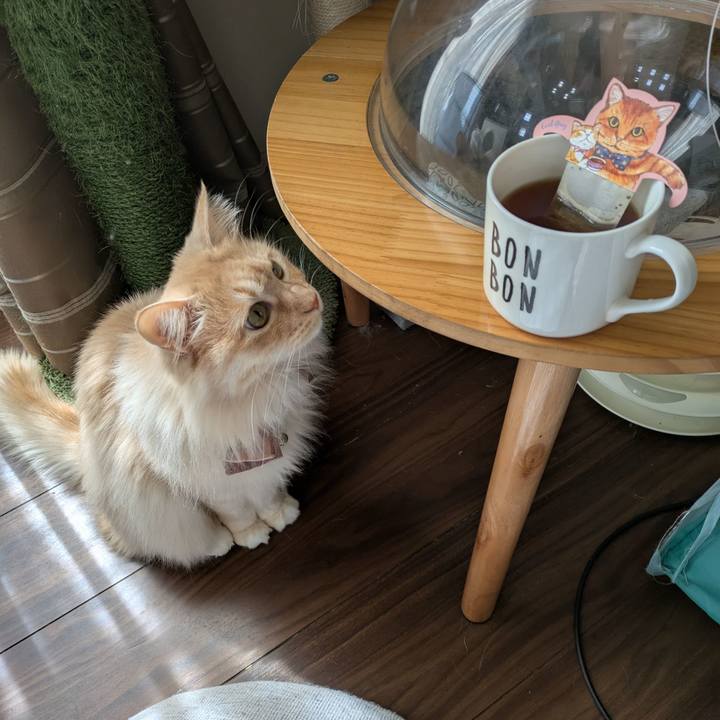 02370daf 7b02 45c2 885a 189781d2d5ea 1741845923777