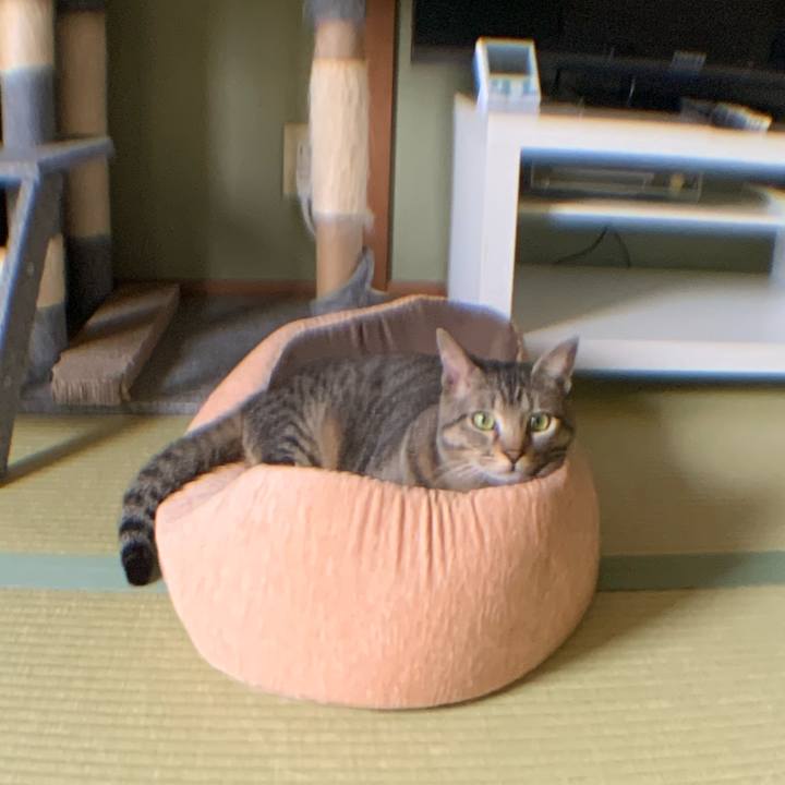 02370ec0 640d 4338 9452 753b8b4f3635 1587173443238