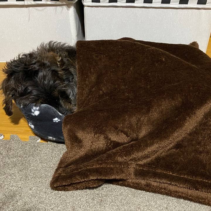 02370f85 619b 495d 8563 52a0fe11e323 1574780431591