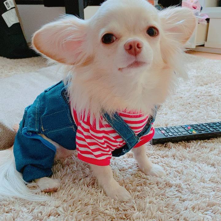 0237232b 4b20 4b11 ab47 a9689968d9b3 1626855099855