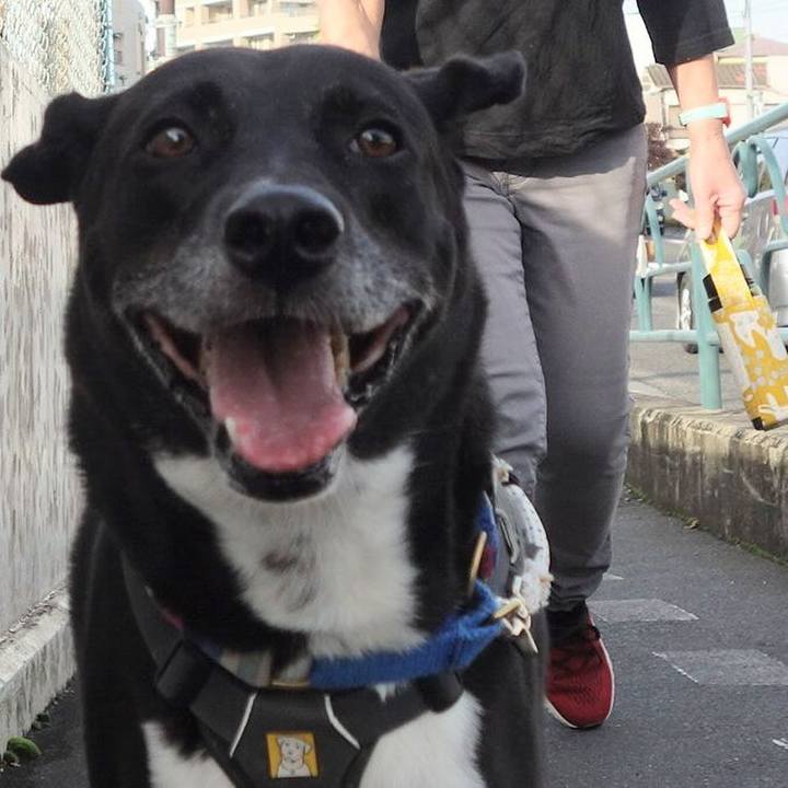 0237286b 51f1 430a bce2 66a4e166bc57 1665448230029