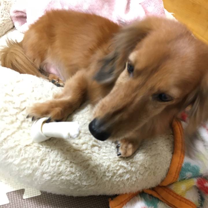 023732fd 15e2 4f42 891e b21e3bc88e41 1551709852836