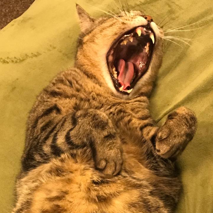 02373a85 b91d 43fe 9ece d7bab314d712 1571726749455