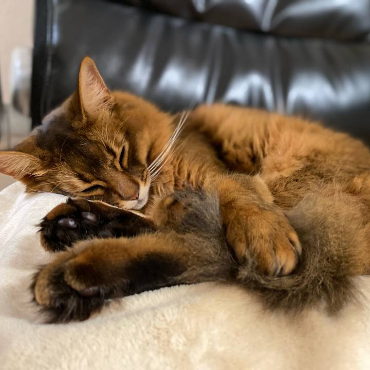 023742c8 9122 47b1 95a2 911d7d7c0872 1673351587008