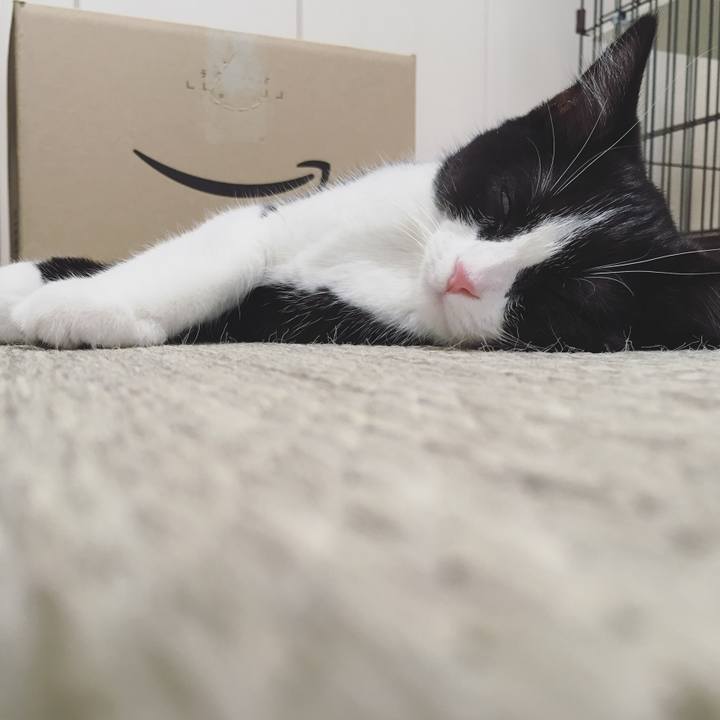 02374cdf 48c3 4cad 8ccc 78f3296a2629 1528670696495