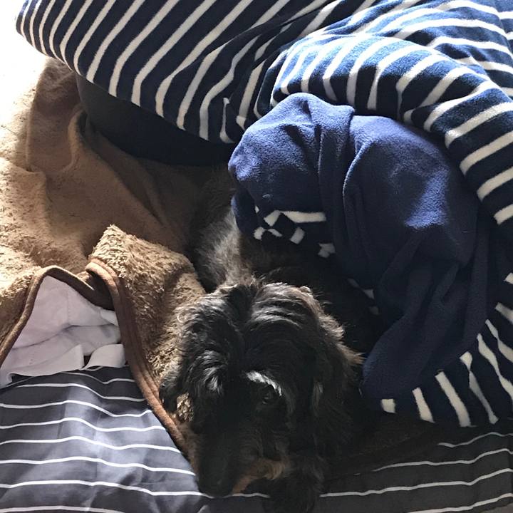 02375862 1d78 4614 be80 0de62ff0374b 1510460160892