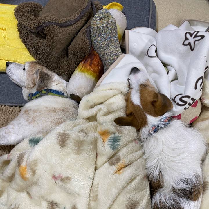 02375b11 0275 432e 9198 f7a2ca951225 1698496567375