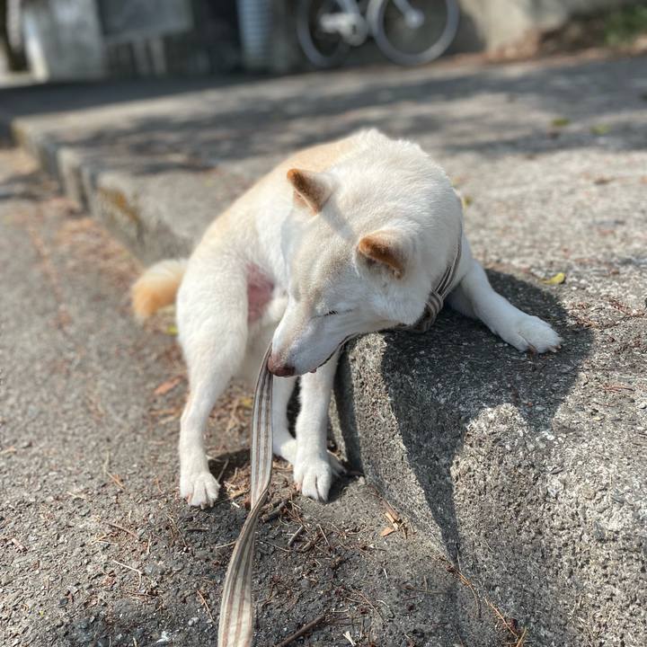 02377146 8056 4e66 9617 4a68da341143 1647254025213