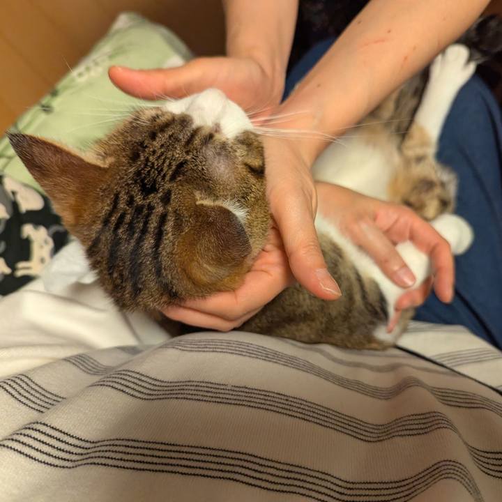 02378fc5 c434 44a1 8e71 c41ac22af16a 1747281488267