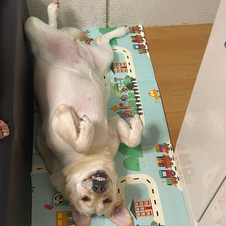 0237a859 3501 4a5f 9189 1043b29495ad 1759836258279