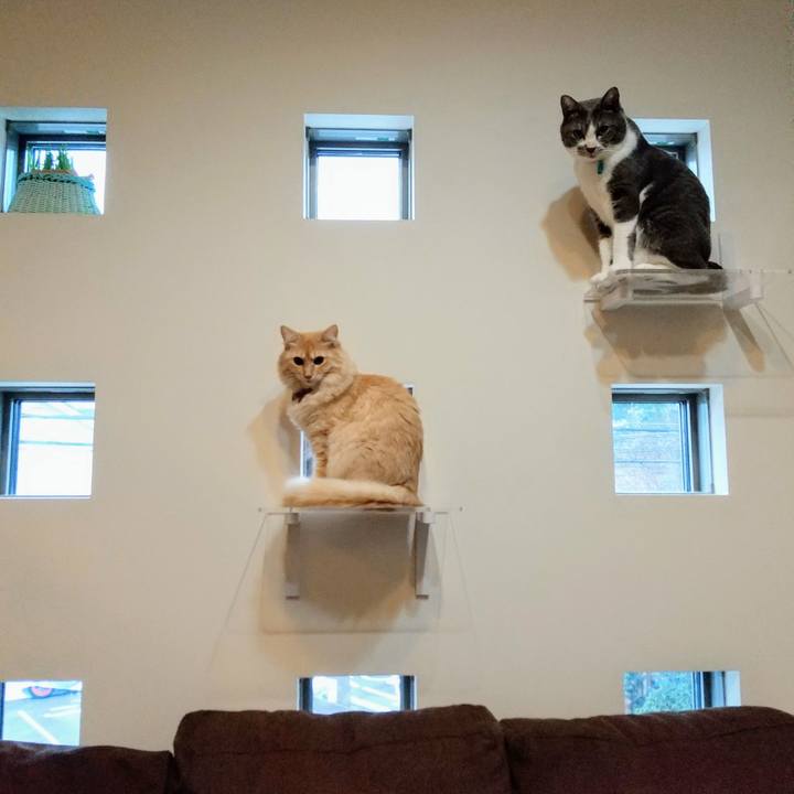 0237a860 2843 4d13 b9d8 268f7fe01a8c 1635299480926