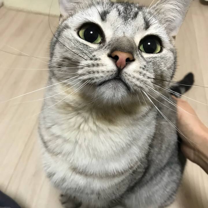 0237c130 e795 43eb 85be 7d509e01f97c 1521157233586