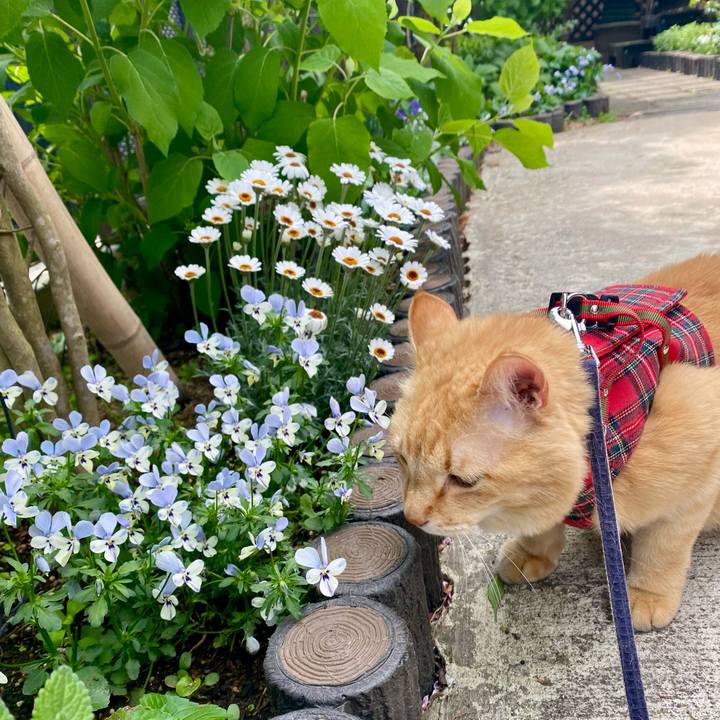 0237e98f 1c71 42d0 9ac5 9d493cddd941 1745968160707