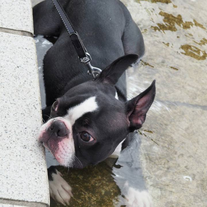 02383a20 5b3b 488f a1d9 1ff690a564de 1537675825903