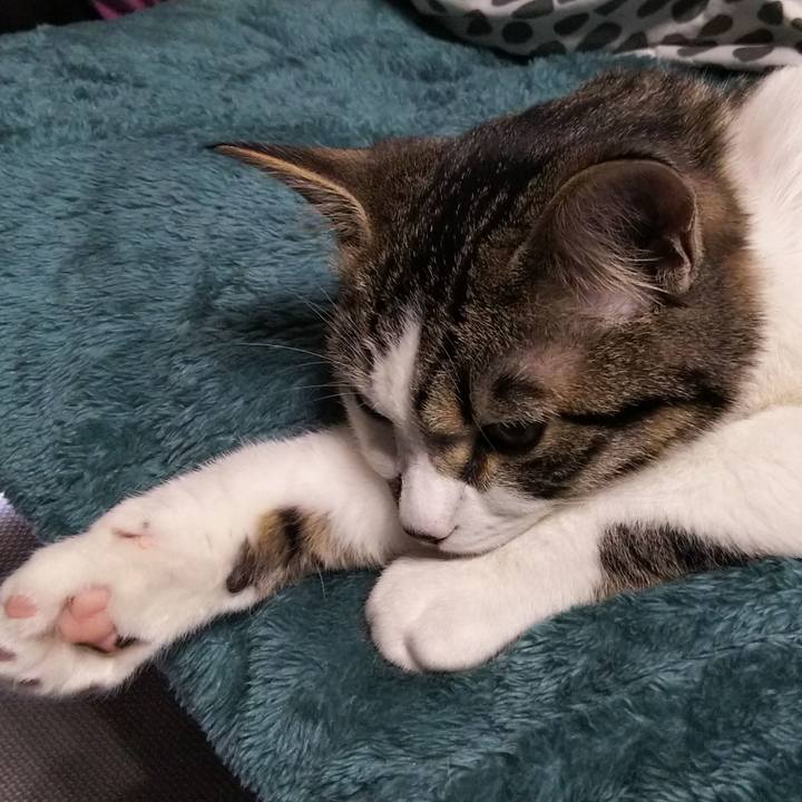 02385d2b e573 41e9 9629 e0bbab3a7bbb 1618127544946