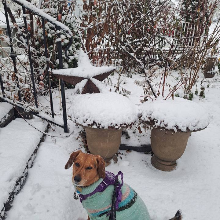 02389c0f 20df 4a10 bf57 1505c8ce1474 1765398046898