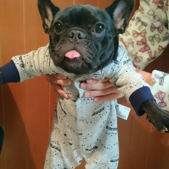 02389d0f 8eb0 4c3d 8dfa b3d195865565 1508853829183