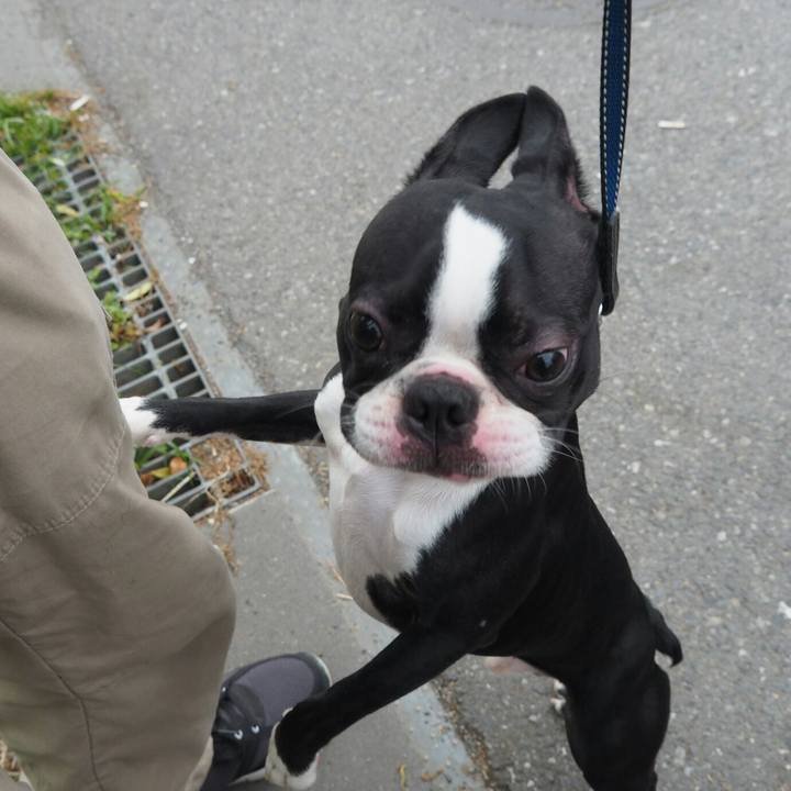 02389ec8 76a8 4ae7 981c e822967dfd31 1523089656412