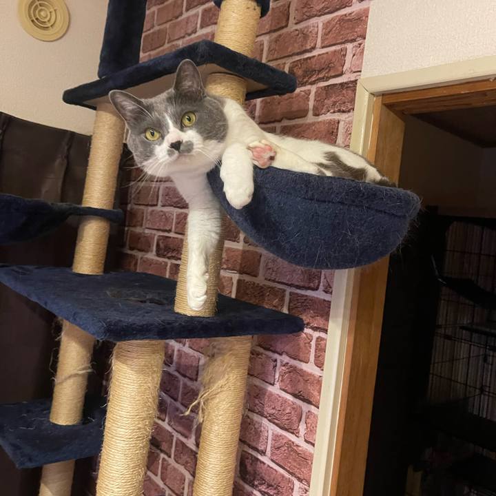 0238b957 834d 4a8a bc78 c89fcbe91a1b 1686308190541