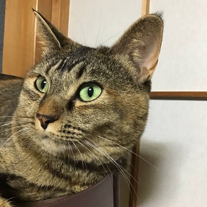 0238c2dc e13f 44f3 bdf5 1ee115f4ef74 1665925410750