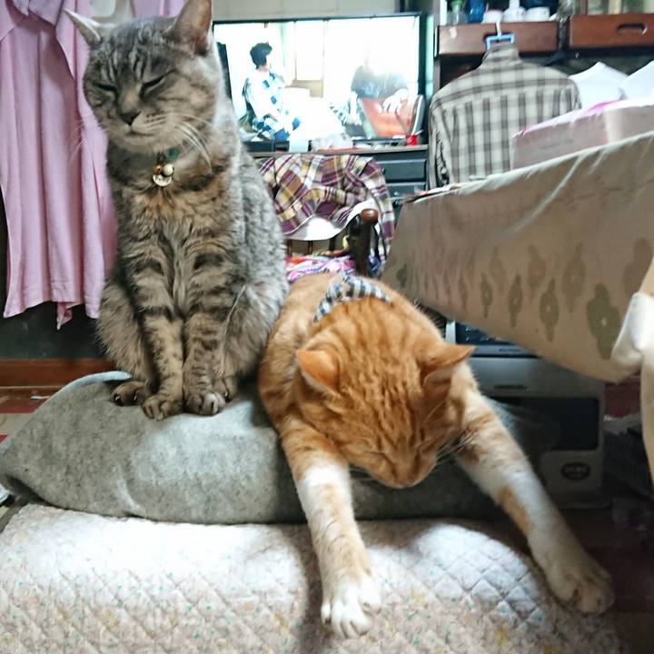 0238f6b6 f63b 47e8 a39d f66e9fcbd660 1575709201297