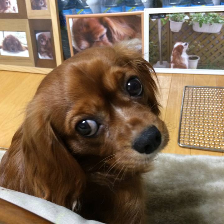 0238f954 8f09 45bd b8a3 f4b2ee8f4f52 1516103570979