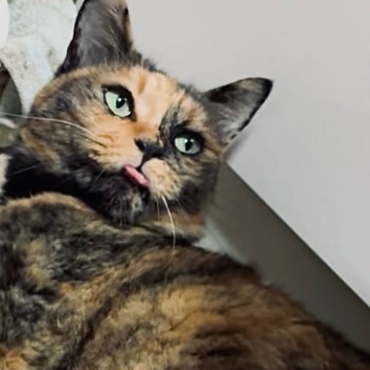 02390bc2 5265 442b 9296 88c45428c96f 1758832654180