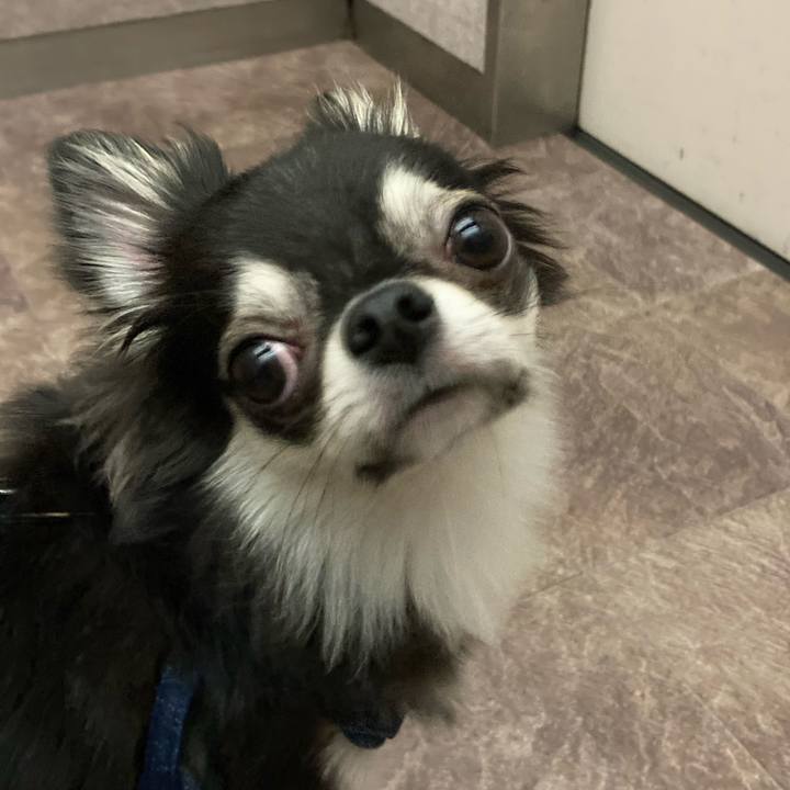 023919da f3ee 4ad0 817e 1807b5423108 1631419742473