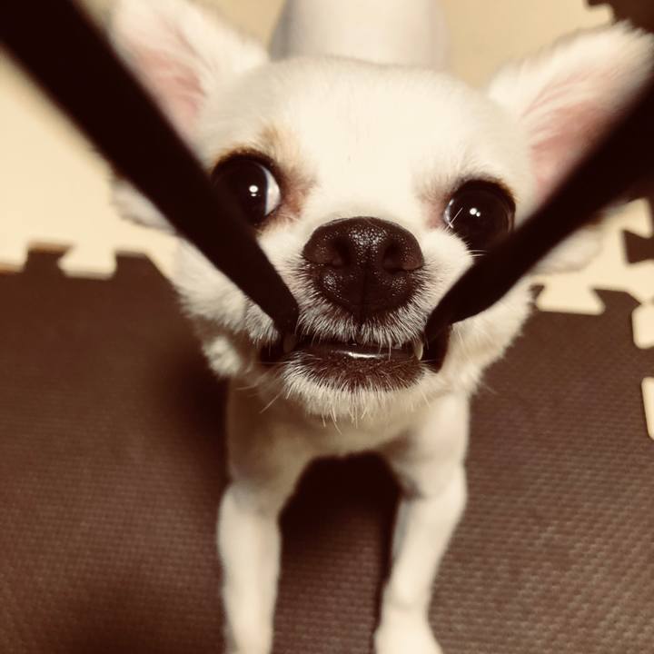 023952bf c855 45d5 8a09 c58ae84fed8f 1532683450545