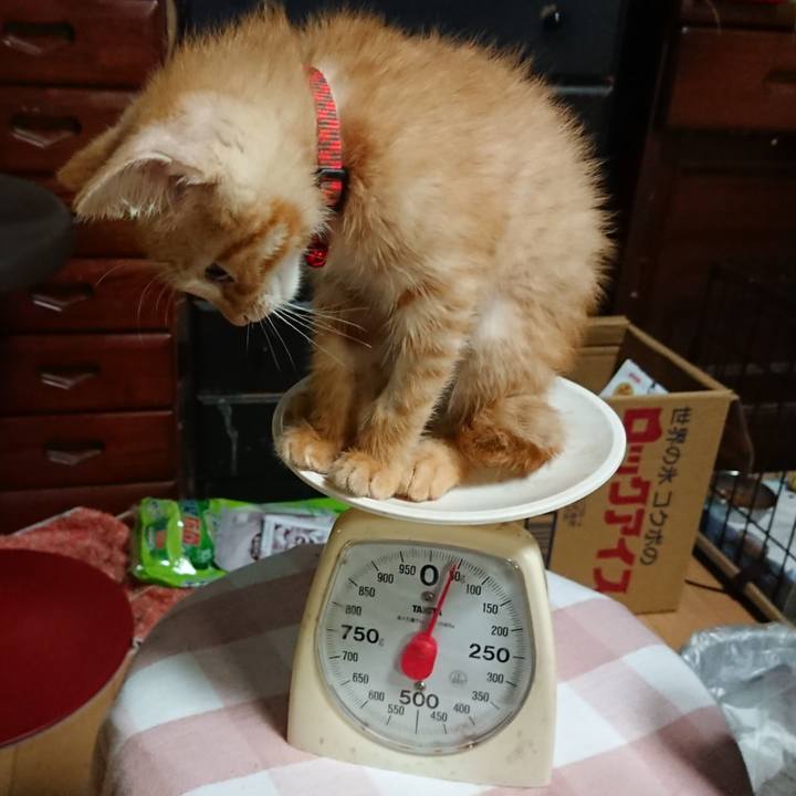 023968b4 6b34 4d12 bff6 8afc62335653 1629541290265