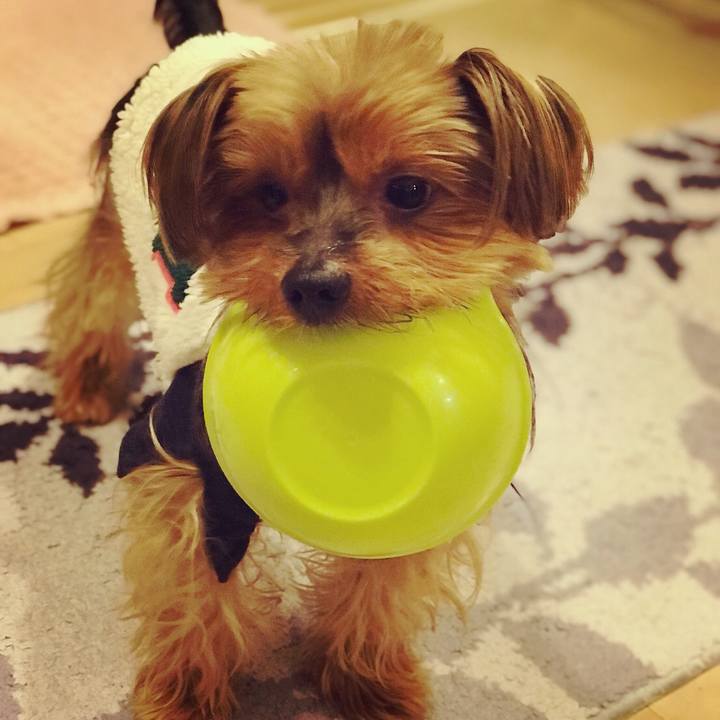 02399785 2c44 4b4f 8210 c54305e5bac3 1509177458619