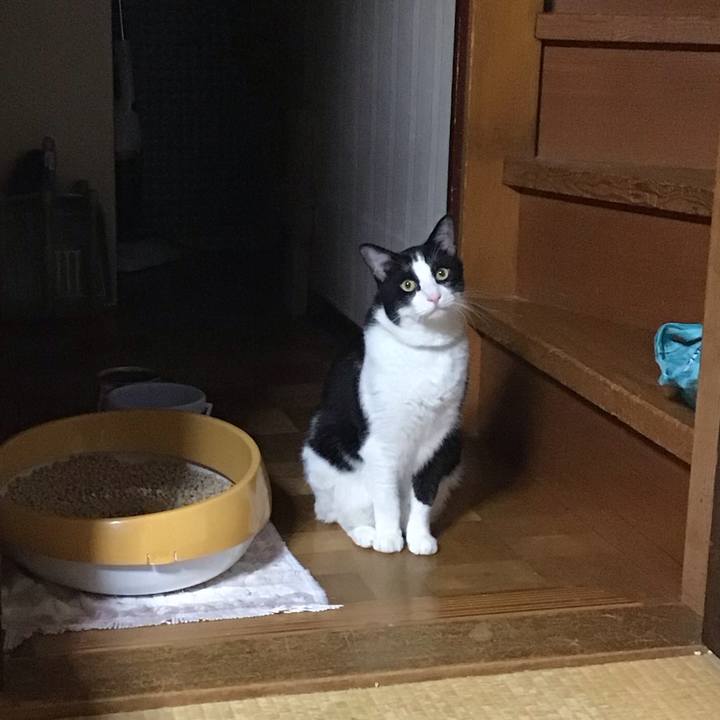 0239be5b 2876 47ce 80ab 94af0e7d4aea 1726396606620