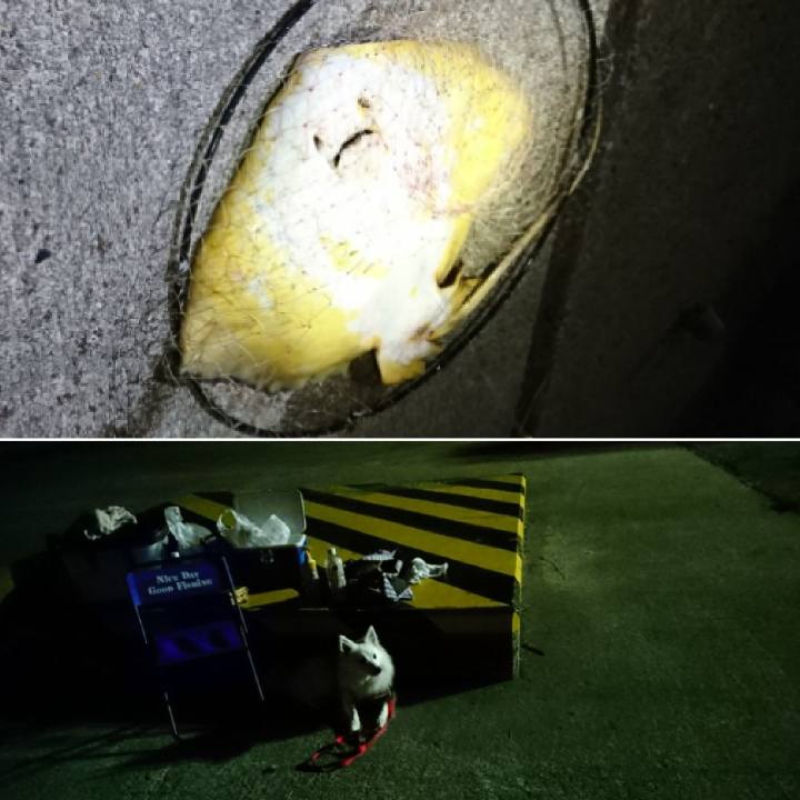 0239c0e1 efdd 40b0 84bf 7268d4d2fe6e 1526129254926