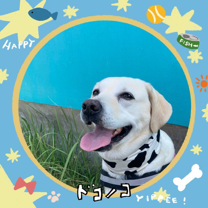 0239ed71 e6e0 4fc9 b0ce 0e49d9610ffc 1721310187106