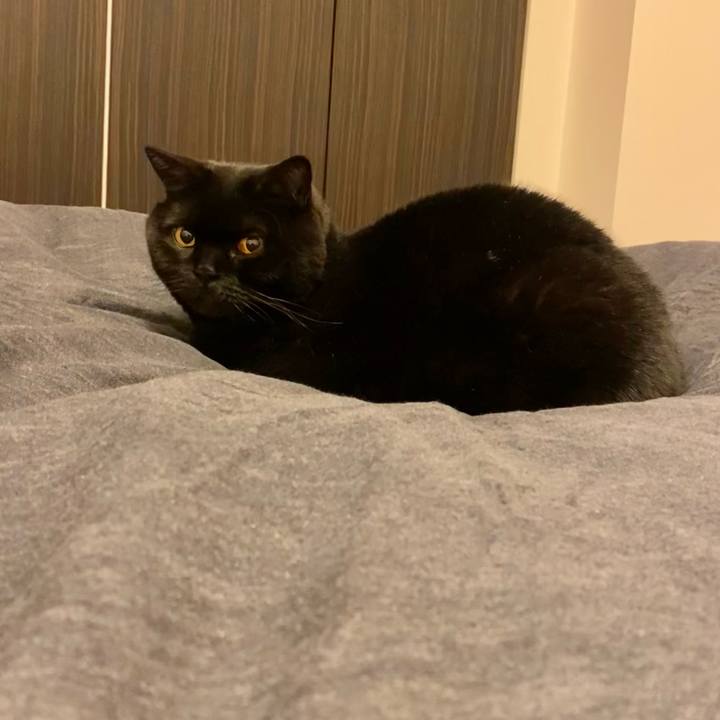 023a07e3 ef2d 464c b3c9 8a0ada4bf287 1739447935713