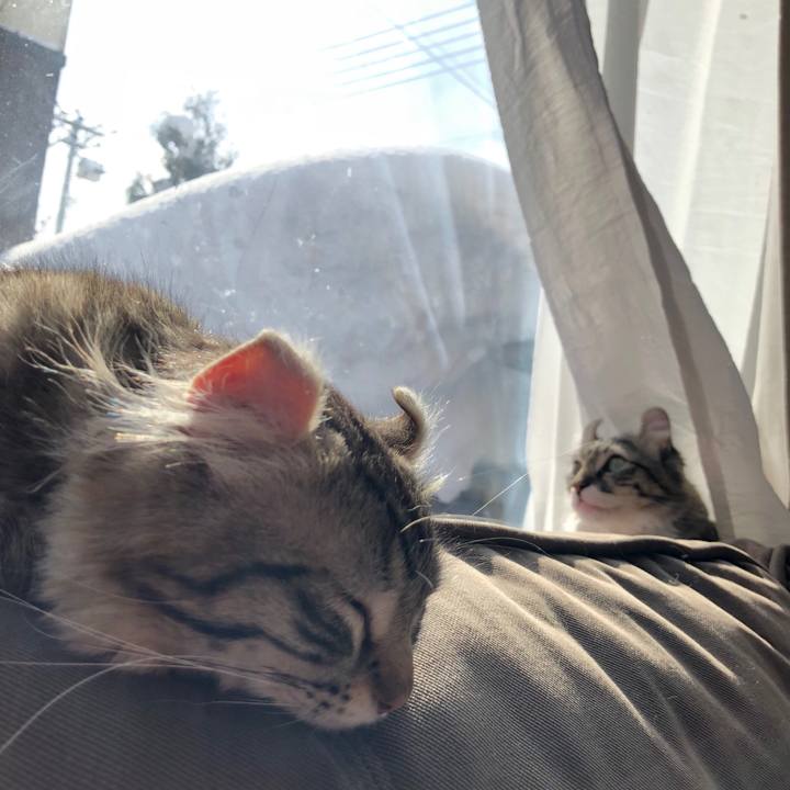 023a0d75 3281 4e5d b3a4 8856565e5dab 1520304838347