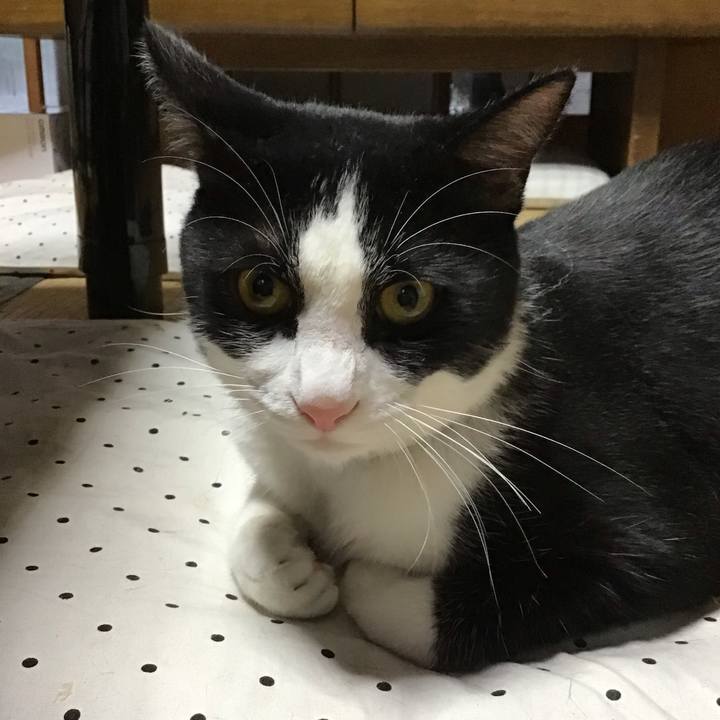 023a16c3 5b50 4018 ae27 bb8560ca84f4 1656846223383