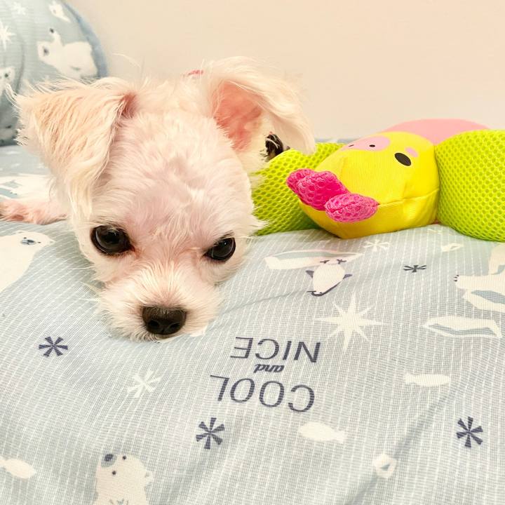 023a1c90 4ef2 4ebe 9355 7c487f912a4e 1633662683847