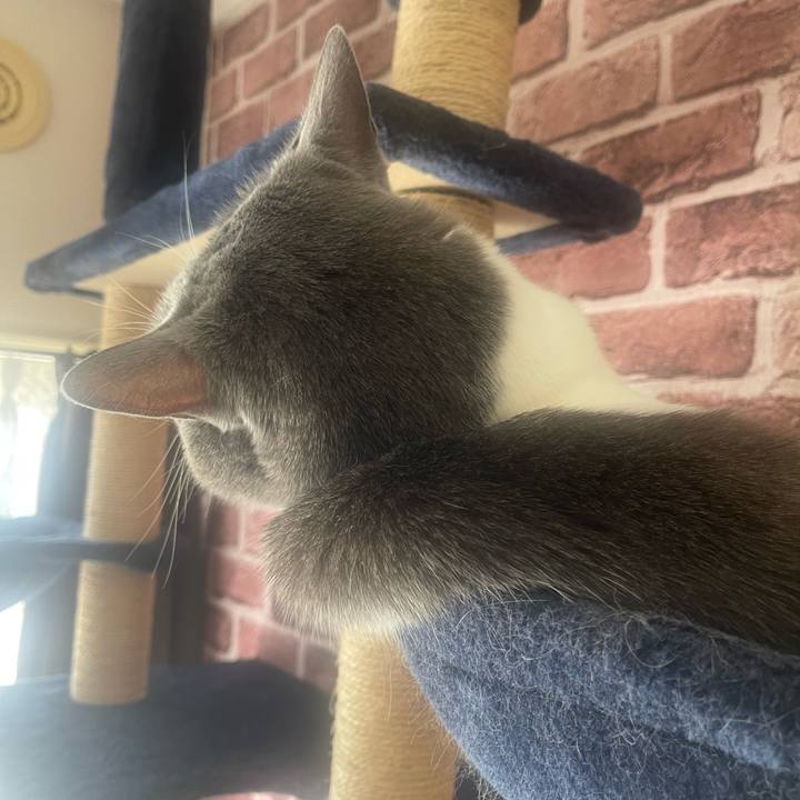 023a3c91 d238 4506 bab8 2381da158756 1698497555944