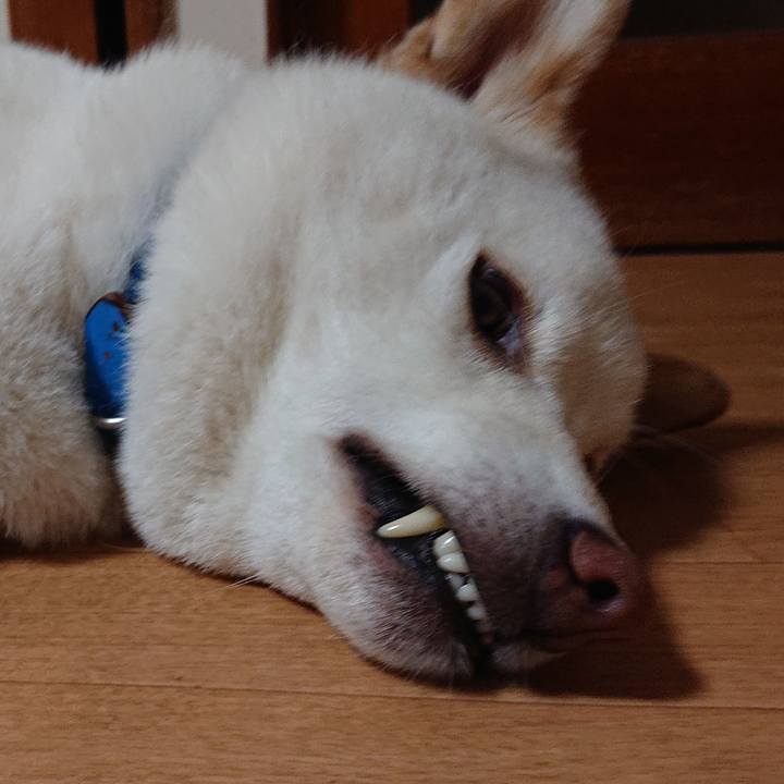 023a5d42 3021 42a7 b449 0ad6f3191781 1595074671066