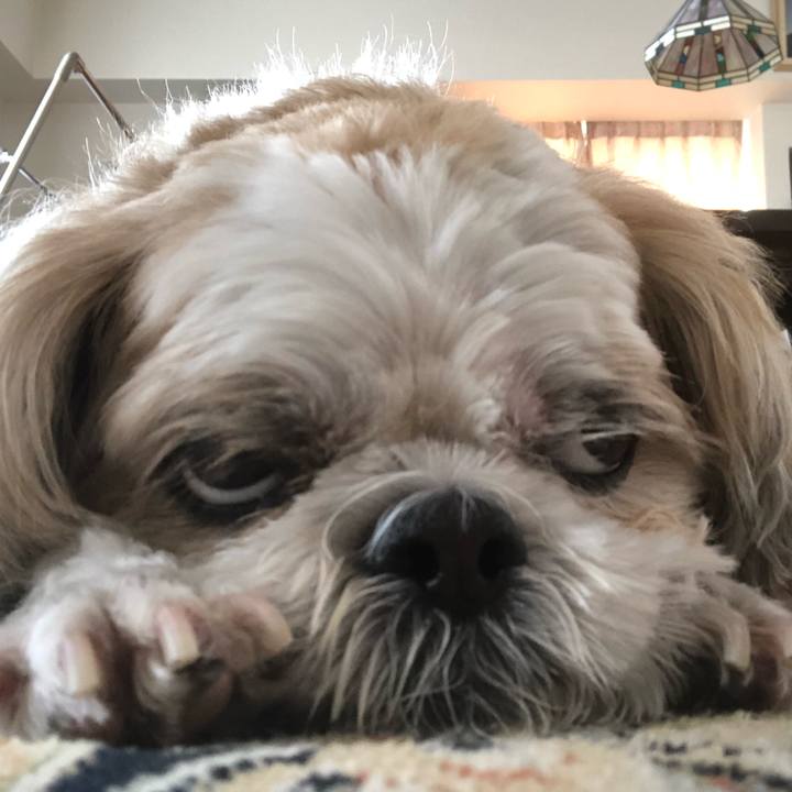 023a6a66 8405 41e3 bfc1 6d25842fcc6e 1601848172182