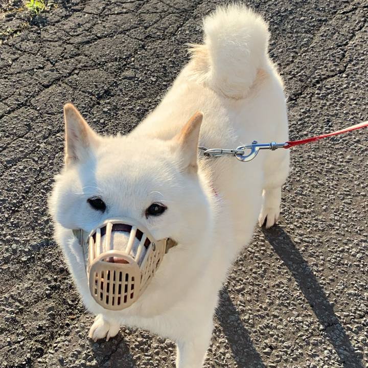 023aaa79 338b 4300 92f2 9c347794a258 1590439554898