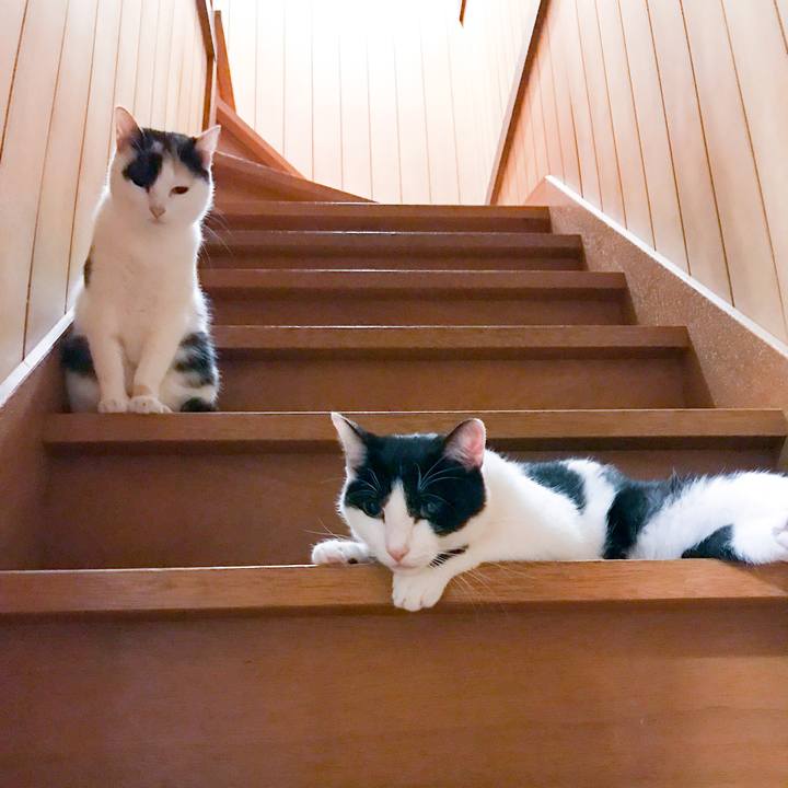 023ab9b7 0e42 4c3e 81f0 48e304255925 1509286087346