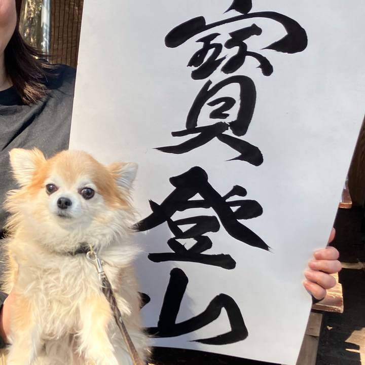 023acbb1 6412 4586 a5df bd3431a0b084 1771238312166