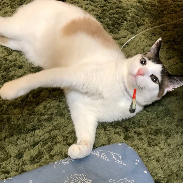 023b0706 e581 4eac 91bc 327c50eb9cee 1589342626069