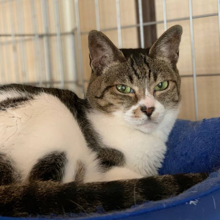 023b0d49 f76f 4c72 b9ee 75a2c78c7877 1593048271516