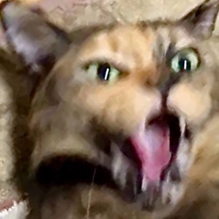 023b52b7 76ed 4e32 8b55 7bd641a7b7ff 1733512100399