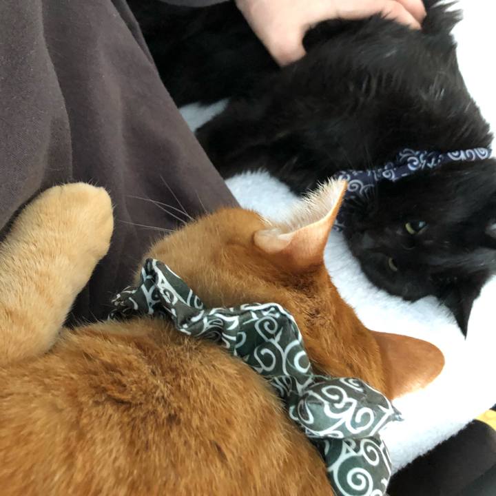 023bb299 a7f5 4665 b0be 14c759ae3cb3 1614985931549