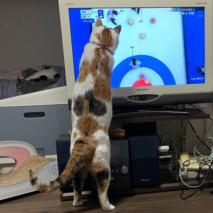 023bb3f7 3f3e 4aa3 b851 0127fa422539 1644843887714