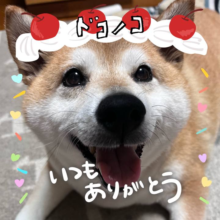 023bcaf3 317a 449f a3c5 5d822bbd7487 1685931165434